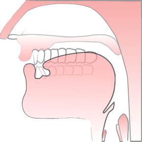 This way you will actually hear. Pronounce v sound — Pronuncian: American English Pronunciation