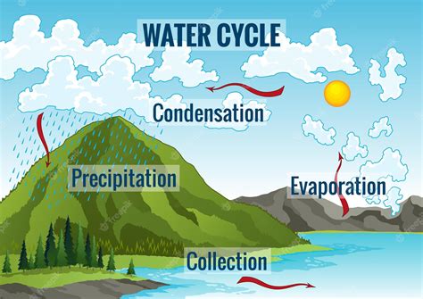 Premium Vector Water Cycle Diagram Earth Hydrologic Process
