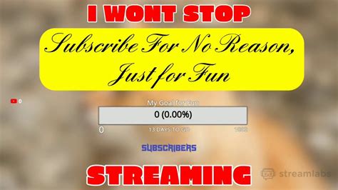 I Will Literally Wont Stop Streaming Till I Get 1000 Subscribers Youtube