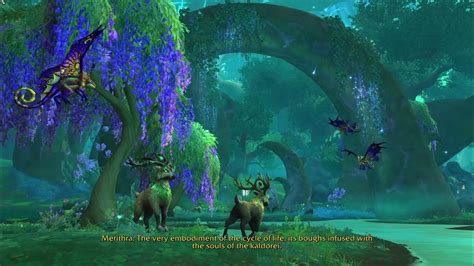 World Of Warcraft Dragonflight Entering The Emerald Dream Quest In