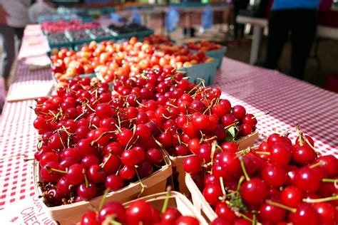 Michigan cherry growers happy to see new tariff on Turkish cherries | Great Lakes Echo