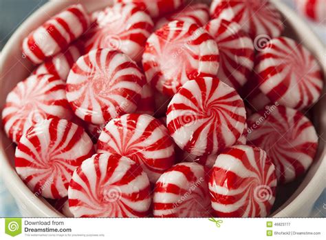 Sweet Red And White Peppermint Candy Stock Image Image