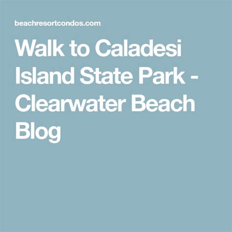 Walk To Caladesi Island State Park Clearwater Beach Blog Caladesi