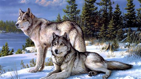 4k Ultra Hd Wolf Wallpapers Top Free 4k Ultra Hd Wolf Backgrounds