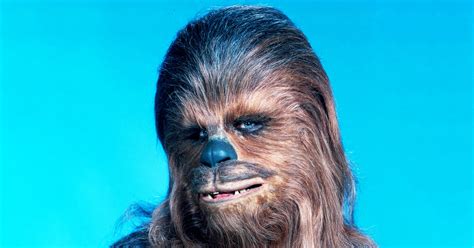 Chewbacca The Force Awakens Hair Products