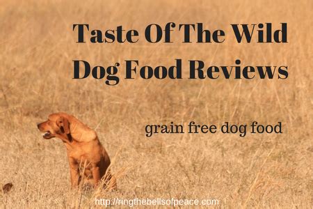 Best dog food for 2021. Taste Of The Wild Dog Food Reviews - Ring The Bells Of Peace