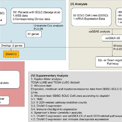 Workflow Of Bioinformatics Analysis Sclc Small Cell Lung Cancer Download Scientific Diagram