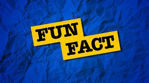 Fun Facts Pictures Download Free Images On Unsplash