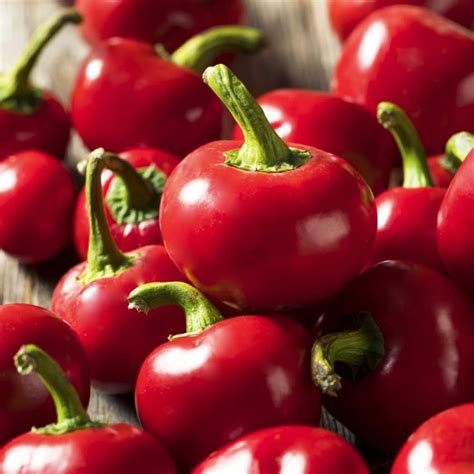 hot pepper seeds spicy cherry red etsy uk