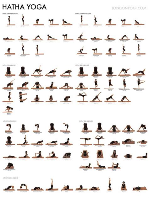 Image Result For Hatha Yoga Level 1 Ashtanga Yoga Vinyasa Yoga Hatha