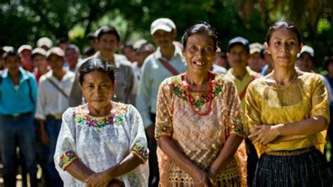 48 Of Forests In Central America Are Defended By Indigenous Peoples ⋆