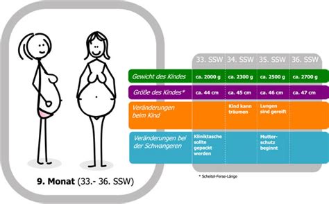 Schwangerschaftswoche (ssw) kannst du dich über den genaueren ablauf der geburt informieren. 34. Schwangerschaftswoche (34. SSW), drittes Trimenon ...