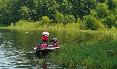 Lake Santee Cooper, SC Fished here as a kid out of Packs Landing | Santee cooper, Santee, Bass ...