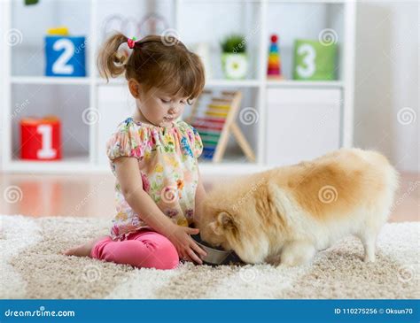 Adorable Little Girl Feeding Cute Dog Stock Photo Image Of Hungry