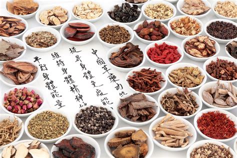 what is traditional chinese medicine losinmortales