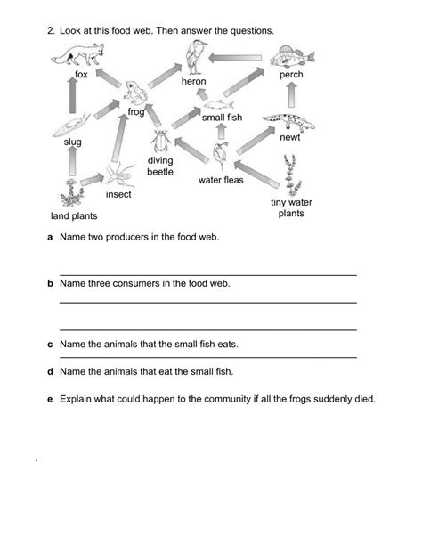 A what does the arrow mean in a food chain? Food chain and food web worksheet