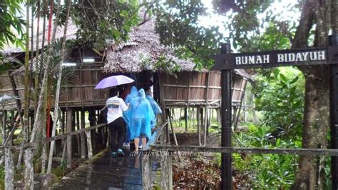 Maybe you would like to learn more about one of these? orangbukit: Kampung Budaya Sarawak