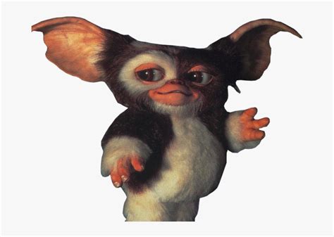 Gizmo Png 7 Png Image Gremlins Before They Change Transparent Png