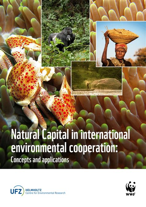 Pdf Natural Capital In International Environmental Cooperation