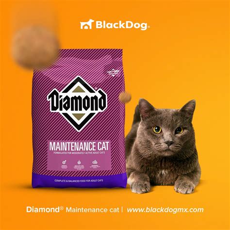 Diamond Maintenance Cat Mantenimiento Gato Black Dog Shop