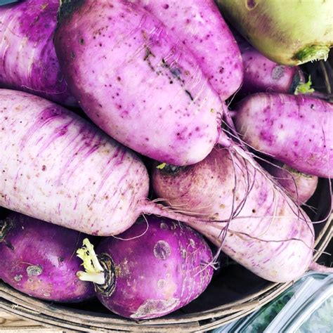 All you need is to infuse the oil with fresh herbs, brown the ground meat (you can use . Purple Daikon Radish Information, Recipes and Facts