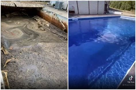 Couple Uncover And Restore Pool Abandoned For 20 Years Swampy