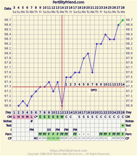 Pregnancy Chart Patterns