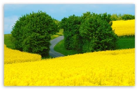 Hd wallpaper download for ipad and iphone widescreen. Beautiful Spring Landscape Ultra HD Desktop Background ...