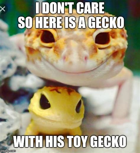 Gecko Memes And S Imgflip