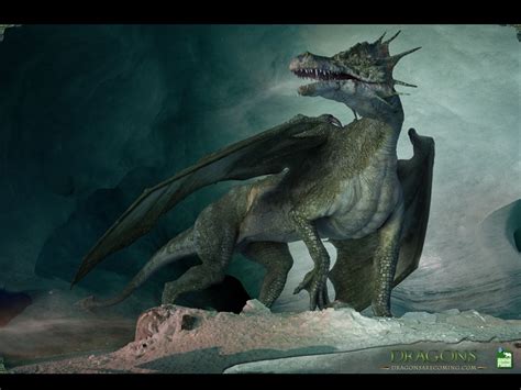 Dragons A Fantasy Made Real 2004