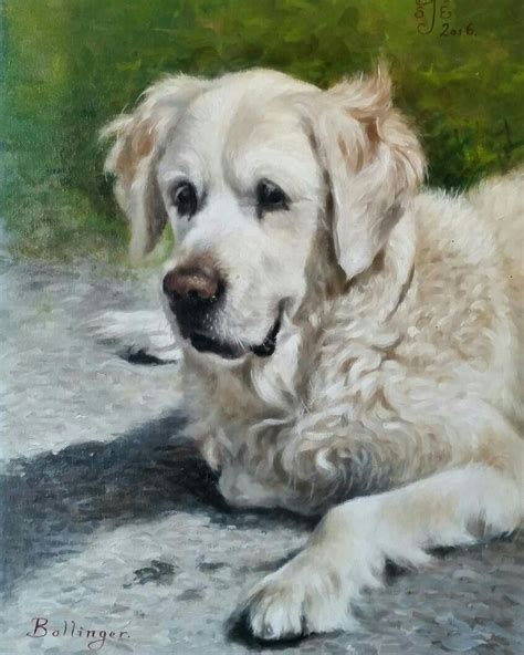 Golden Retriever Painting By Stephen J Edwards Personal Paw Traits