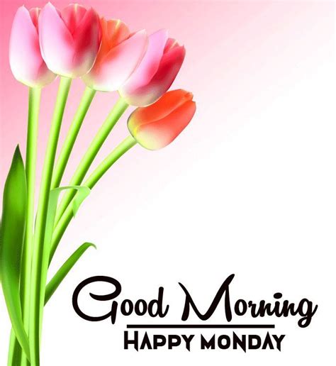 That's why we have created this amazing collection of original good morning images with flowers. Happy Monday good morning wishes with flowers in 2020 ...