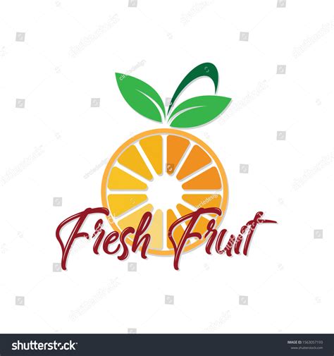 Orange Fruit Logo Vector Image Stock Vector Royalty Free 1563057193