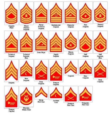 Lets See Examples Of Rare Usmc Chevrons Page 11