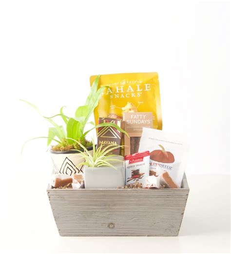 They know that adding greenery to your home and office can make the space more relaxing and pleasant! Plant Lovers Box - Bartz Viviano Flowers & Gifts