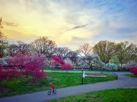 Best parks in New York City - Lonely Planet