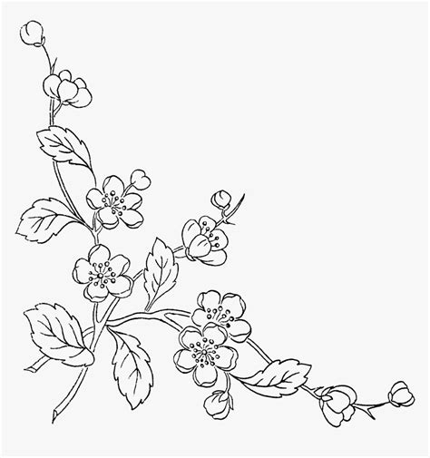 Download 6,590 flower lineart stock illustrations, vectors & clipart for free or amazingly low rates! Of Flowers Transprent Free - Transparent Background Flower ...