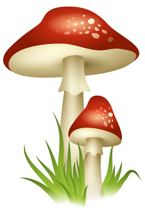 Mushroom Clip art - Mushrooms Transparent PNG Picture png download png image