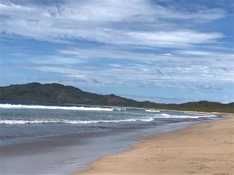 Las Baulas National Marine Park Playa Grande 2020 All You Need To