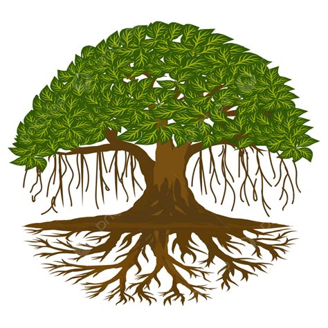 Illustration Of Banyan Tree With Hanging Roots Banyan Tree Character