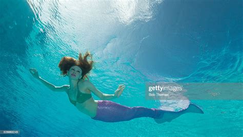Mermaid Underwater High Res Stock Photo Getty Images