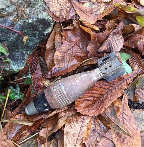 Active World War Ii Style Mortar Shell Turns Up In Of
