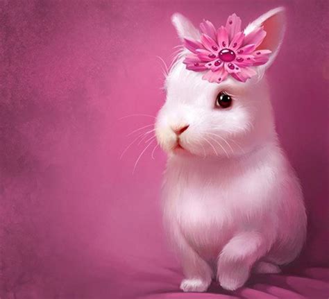 Anime Cool Bunny Rabbit Wallpapers Wallpaper Cave