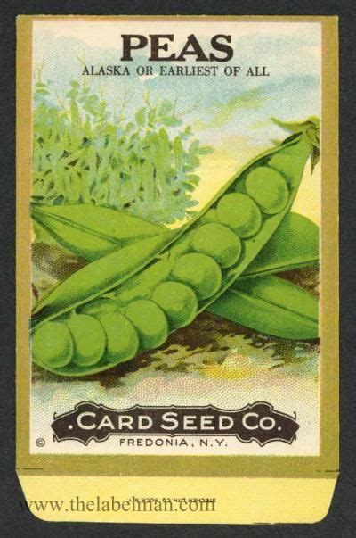 Vintage Pea Seed Packet Seed Packets Vintage Seed Packets Seeds