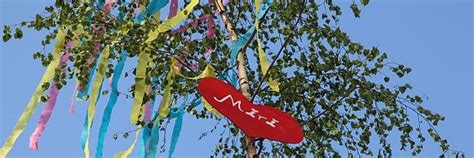 Aus dem maibaum ist ein herz geworden birken kaufen in leichlingen : Birken-Verkauf für den guten Zweck | DOMRADIO.DE ...