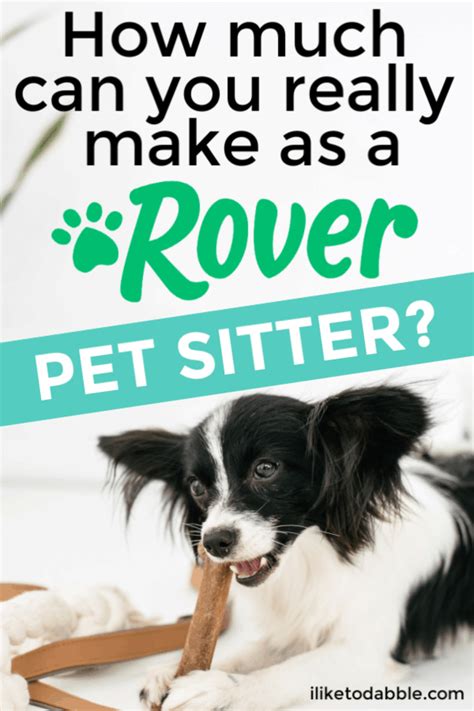 Rover Sitter Review Is Rover A Good Way To Make Money