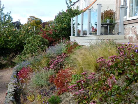 Planting On A Slope Or Steep Bank — Heather Dale Garden Design