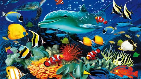 Tropical Fish Wallpaper ·① Wallpapertag