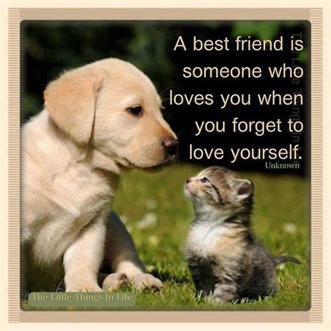 Best Friend Dog Quotes. QuotesGram
