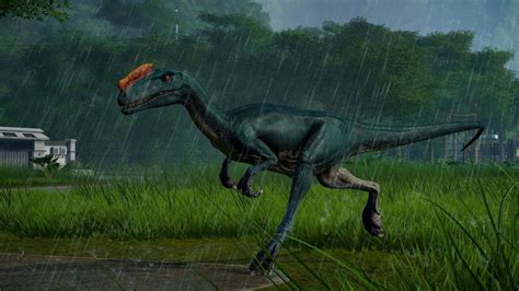 Jurassic World Evolution Carnivore Dinosaur Pack Télécharger Jeu Pc